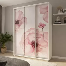 Шкаф-купе 3-дверный Фреско 180/60