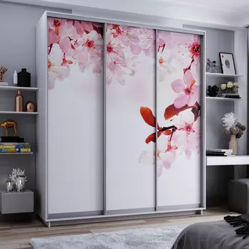 Шкаф-купе 3-дверный Фреско