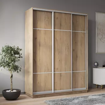 Шкаф-купе 3-дверный Рио Верде