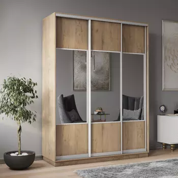 Шкаф-купе 3-дверный Рио Верде