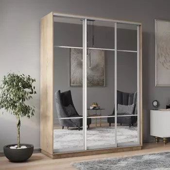 Шкаф-купе 3-дверный Рио Верде