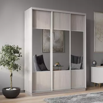 Шкаф-купе 3-дверный Рио Верде