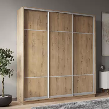 Шкаф-купе 3-дверный Рио Верде