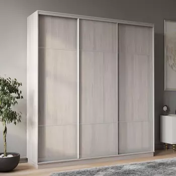 Шкаф-купе 3-дверный Рио Верде