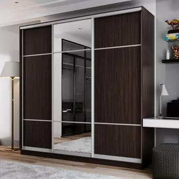 Шкаф-купе 3-дверный Рио Верде