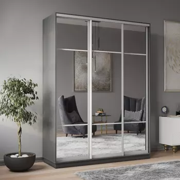 Шкаф-купе 3-дверный Рио Верде