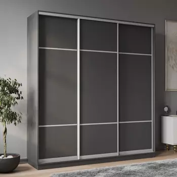 Шкаф-купе 3-дверный Рио Верде