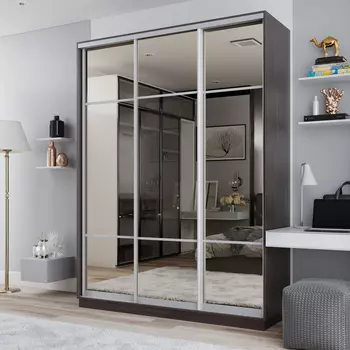 Шкаф-купе 3-дверный Рио Верде