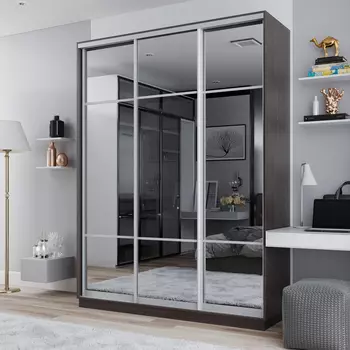 Шкаф-купе 3-дверный Рио Верде