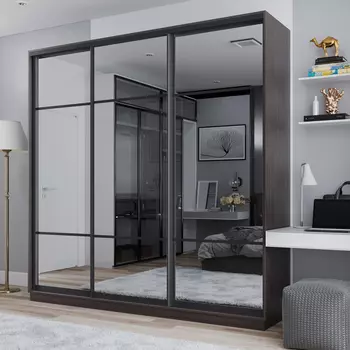 Шкаф-купе 3-дверный Рио Верде