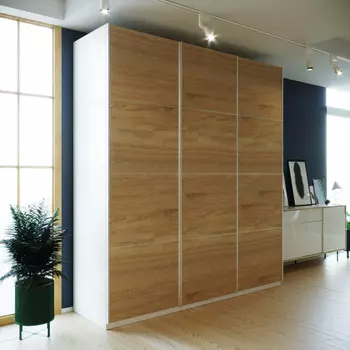 Шкаф-купе Корсо 210