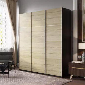 Шкаф-купе Корсо 210