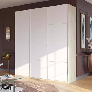 Шкаф-купе Корсо 210