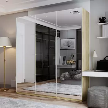 Шкаф-купе Корсо 210