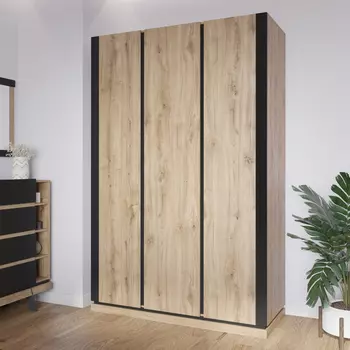 Шкаф распашной Моне