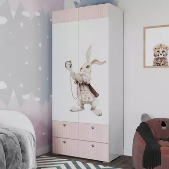 Шкаф распашной Зазеркалье