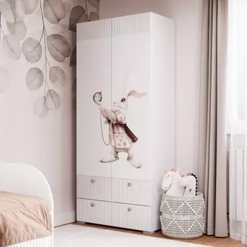 Шкаф распашной Зазеркалье