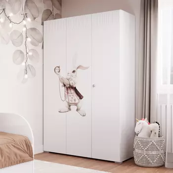 Шкаф распашной Зазеркалье