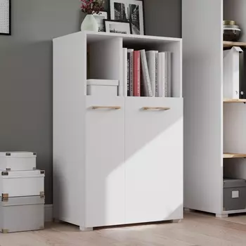 Шкаф-стеллаж Кассия