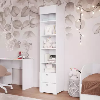 Шкаф-стеллаж Зазеркалье