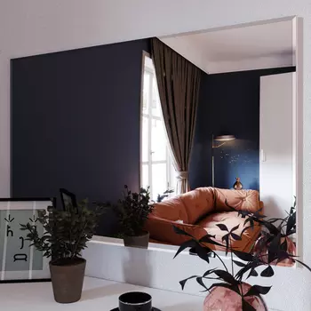 Зеркало Илона