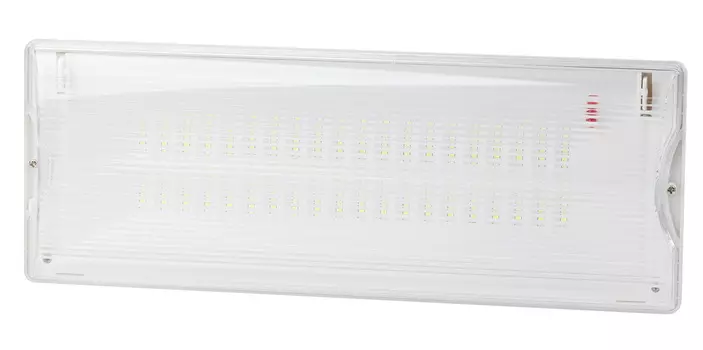 Аварийный светильник светодиодный ЭРА DPA-301-0-65 непостоянный 40LED 3ч IP65