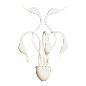 Бра Lumina Deco Magica LDW 6028-5 WT