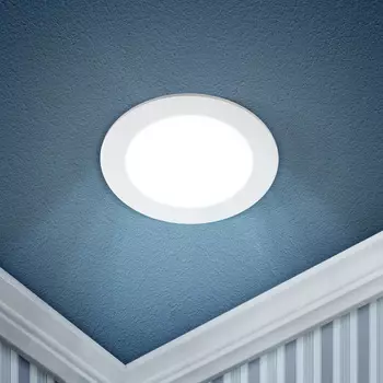 LED 1-12-6K Светильник ЭРА светодиодный круглый LED 12W 220V 6500K