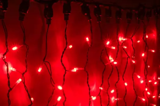 LED-XP-1925-1,5M-230V-С (красные светод/черн пр)