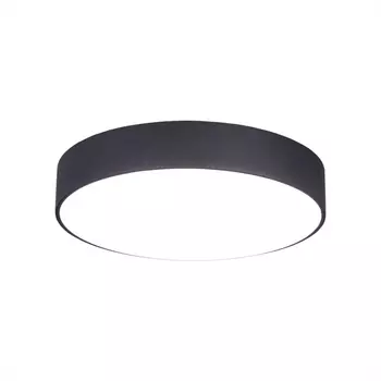 Накладной светодиодный светильник Citilux Тао CL712242N