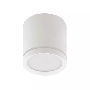 Накладной светодиодный светильник Denkirs DK4013-WH