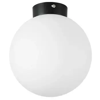 Настенно-потолочный светильник Lightstar Globo 812027
