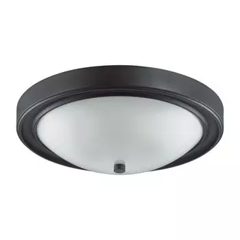 Настенно-потолочный светильник Lumion Nina 5260/3C