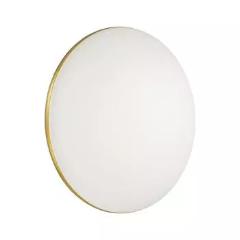 Настенно-потолочный светодиодный светильник Sonex Lassa 3043/AL