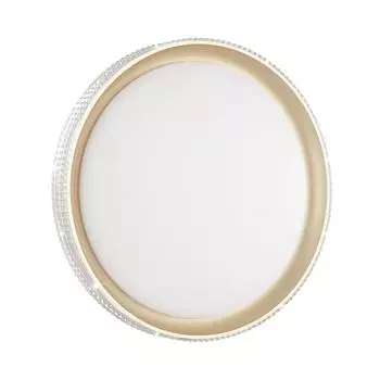 Настенно-потолочный светодиодный светильник Sonex Shiny 3054/DL