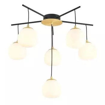 Подвесная люстра Favourite Paramount 3047-6P