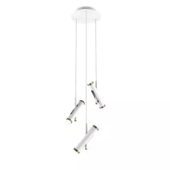 Подвесная светодиодная люстра Favourite Duplex 2325-6P