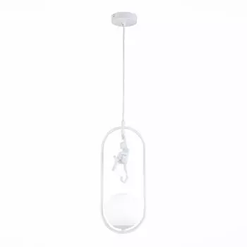 Подвесной светильник Evoluce Tenato SLE115123-01