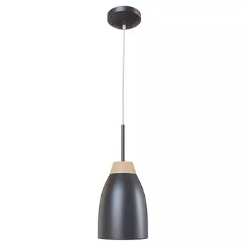 Подвесной светильник Loft IT Watchman Loft4402A-Bl