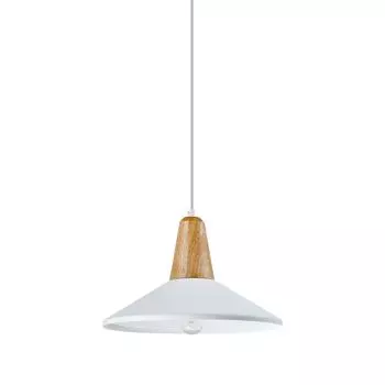 Подвесной светильник Moderli Luce V1571-1P