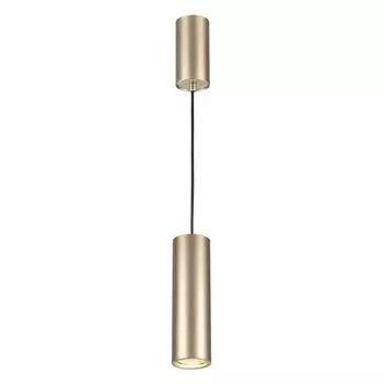 Подвесной светильник Odeon Light Vincere 3828/1C