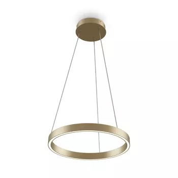 Подвесной светильник Rim 2600-3500К 24Вт, MOD058PL-L22BSK