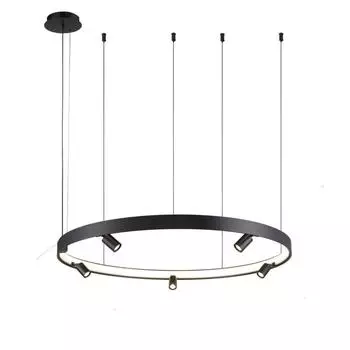 Подвесной светодиодный светильник Aployt Jolanta APL.041.13.75