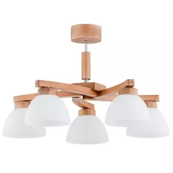 Потолочная люстра Alfa Robin 27395