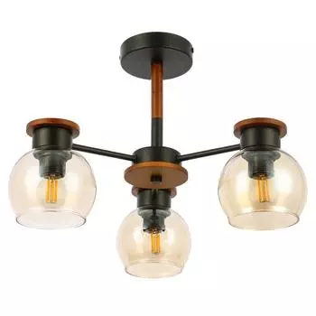 Потолочная люстра Evoluce Rasco SLE108102-03