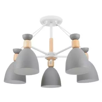 Потолочная люстра Freya Delia FR5033CL-05W