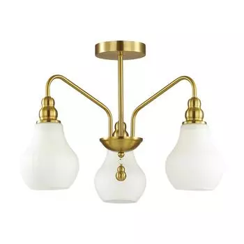 Потолочная люстра Lumion Eleonora 4562/3C