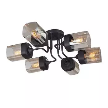 Потолочная люстра Vitaluce V4888-1/6PL