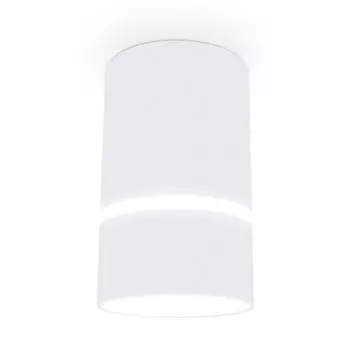 Потолочный светильник Ambrella light Techno TN3411