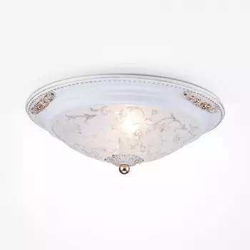 Потолочный светильник Diametrik C907-CL-02-W